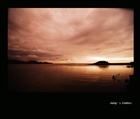 dailyPhoto14